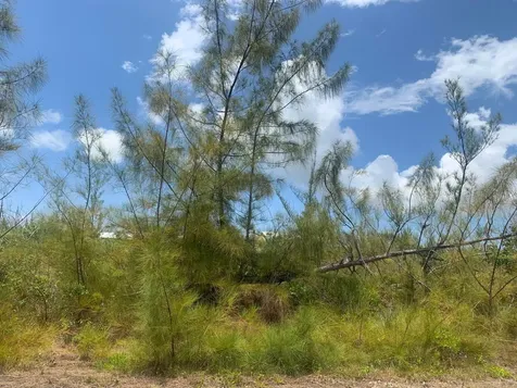 Debden Lane Grand Bahama Freeport BS