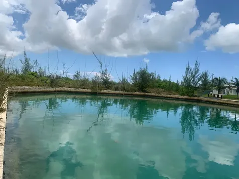 Debden Lane Grand Bahama Freeport BS