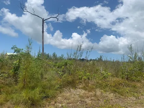 Debden Lane Grand Bahama Freeport BS