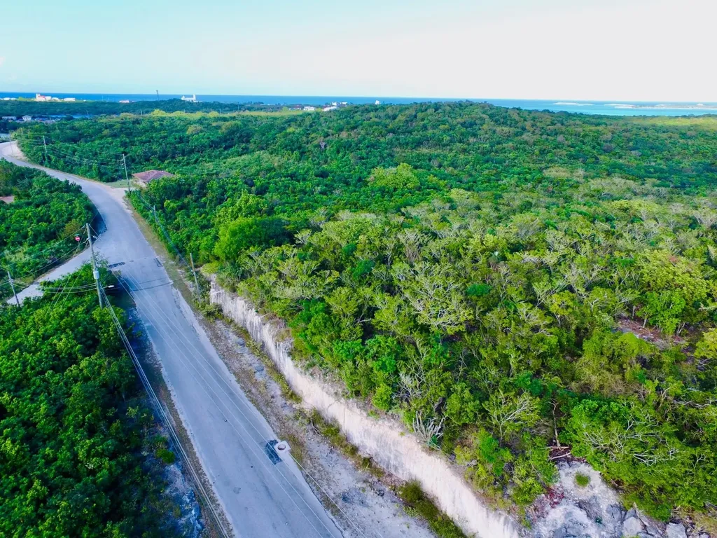 Clarence Town, Long Island Long Island BS