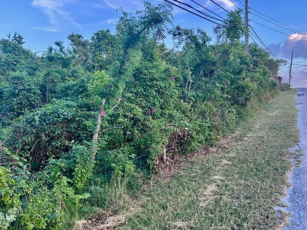 Clarence Town, Long Island Long Island BS