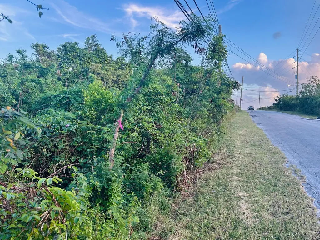 Clarence Town, Long Island Long Island BS