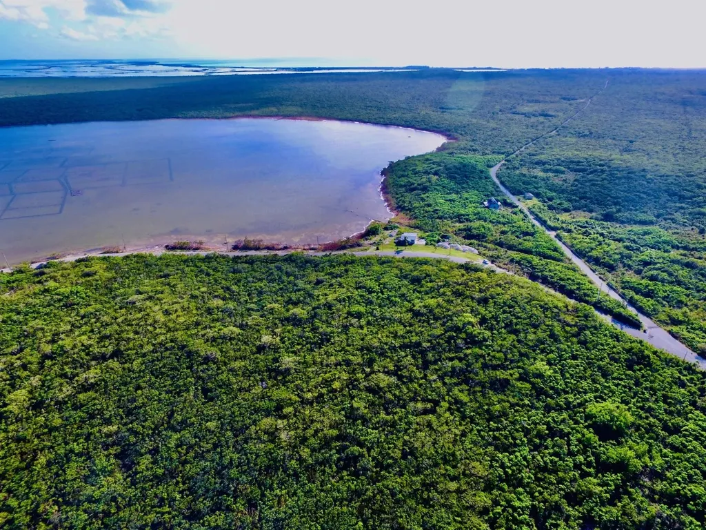 Clarence Town, Long Island Long Island BS