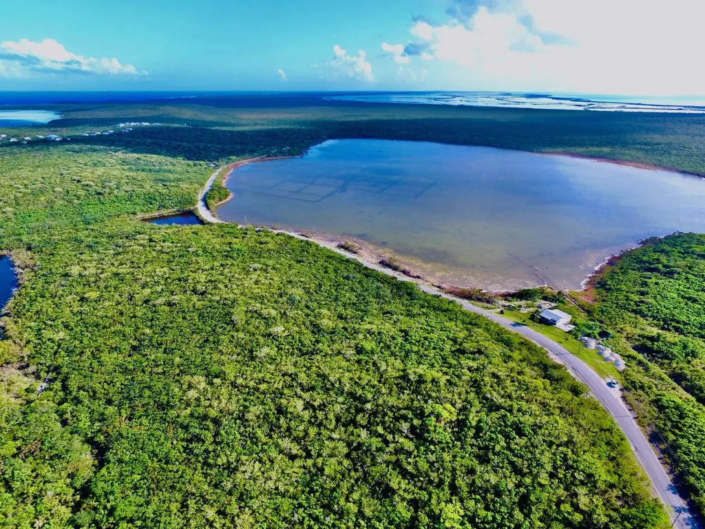 Clarence Town, Long Island Long Island BS