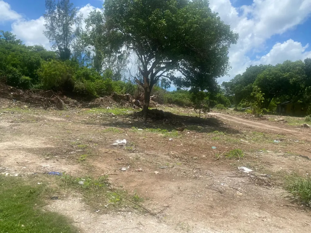 Charles Nicholls Estates New Providence Paradise Island BS