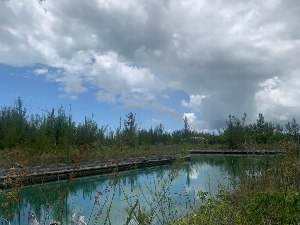 Harlow Way Grand Bahama Freeport BS