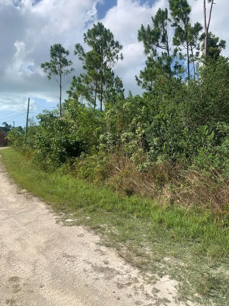 Man O War Circle Grand Bahama Freeport BS