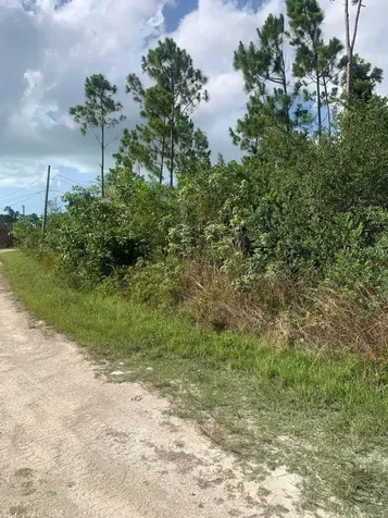 Man O War Circle Grand Bahama Freeport BS