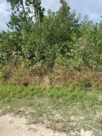 Man O War Circle Grand Bahama Freeport BS