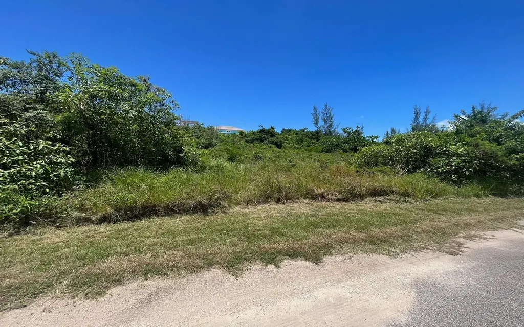 Saffron Hills New Providence Paradise Island BS