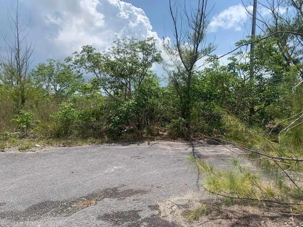 Aldham Lane Grand Bahama Freeport BS