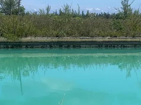 Aldham Lane Grand Bahama Freeport BS