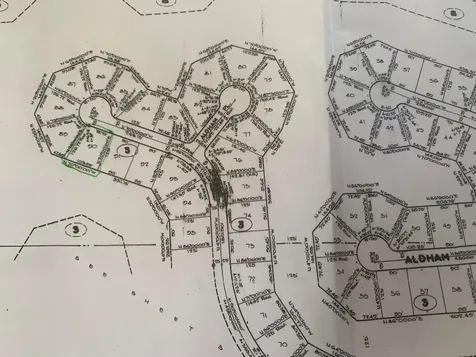 Aldham Lane Grand Bahama Freeport BS