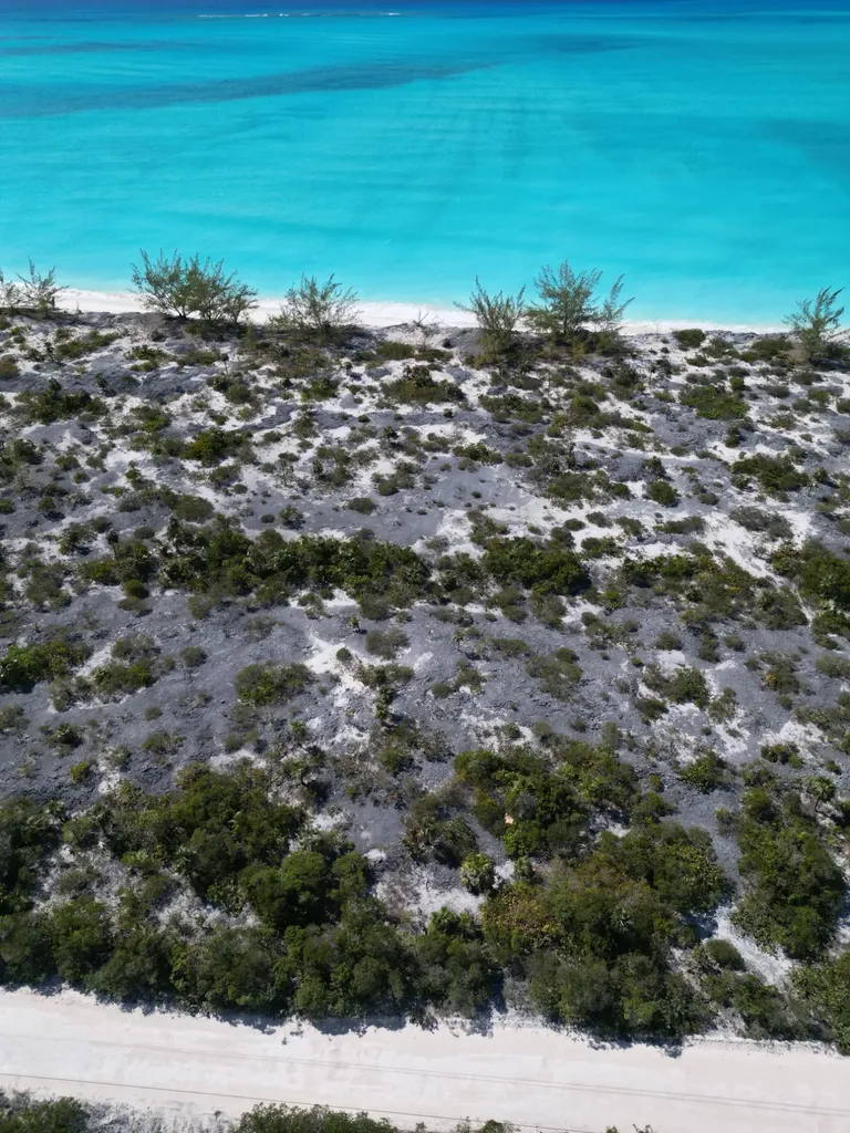 B11 Cape Santa Maria Long Island BS