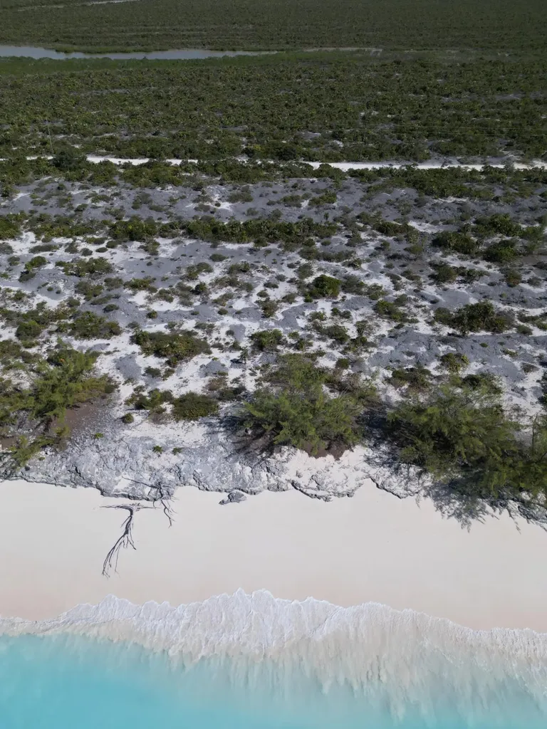 B11 Cape Santa Maria Long Island BS