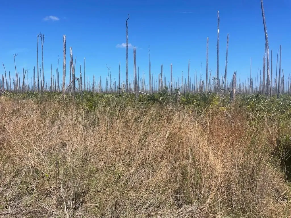 Lucaya Estates Lot Grand Bahama Freeport BS