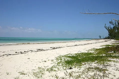 Barbary Beach Drive Grand Bahama Freeport BS