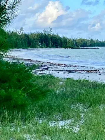 Barbary Beach Drive Grand Bahama Freeport BS