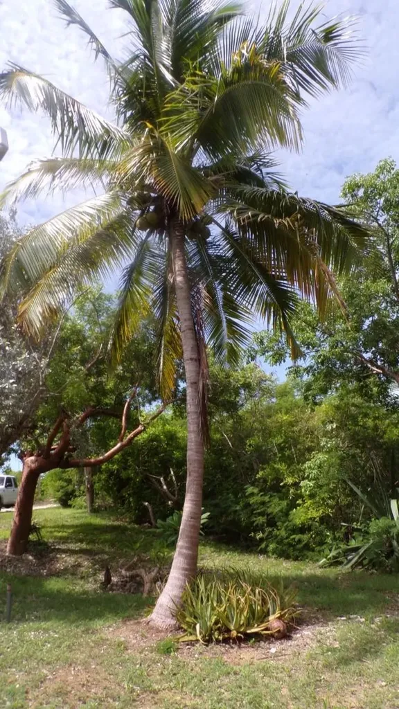 3/2 House In Cartwright's Long Island BS