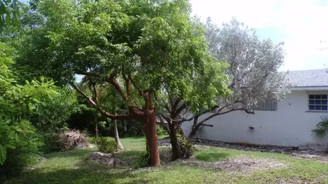 3/2 House In Cartwright's Long Island BS