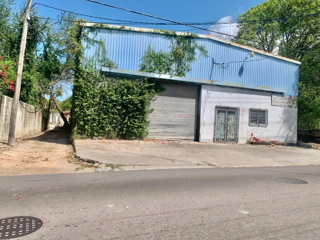 North Mackey Street New Providence Paradise Island 58252 Bahamas Realty