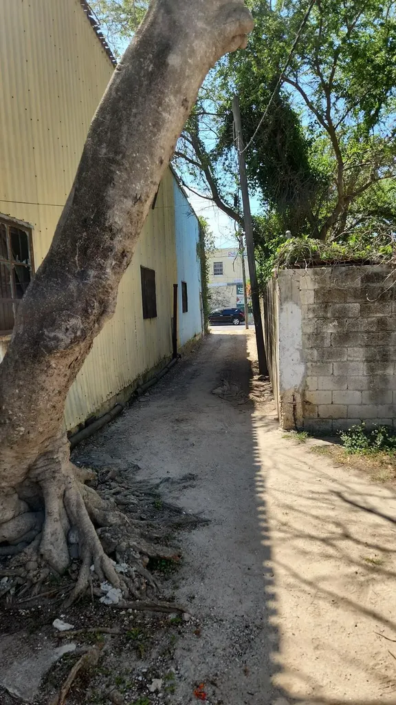 North Mackey Street New Providence Paradise Island BS