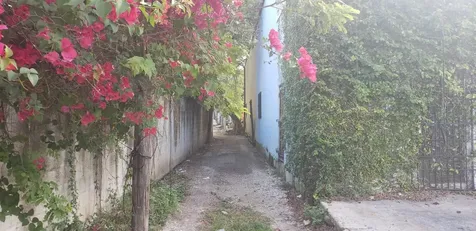 North Mackey Street New Providence Paradise Island BS