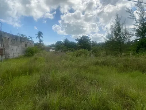 Coral Boulevard Lot #5 New Providence Paradise Island BS