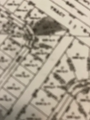 Lincoln Green Grand Bahama Freeport BS