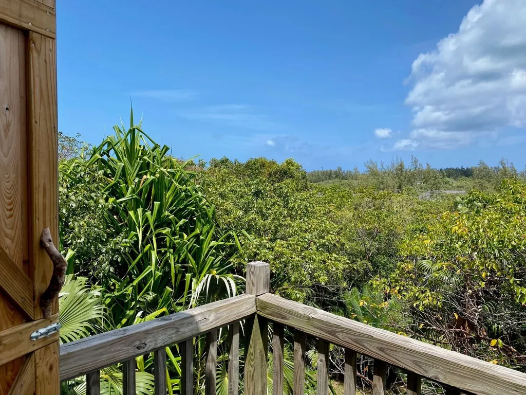 North Palmetto Point Eleuthera BS