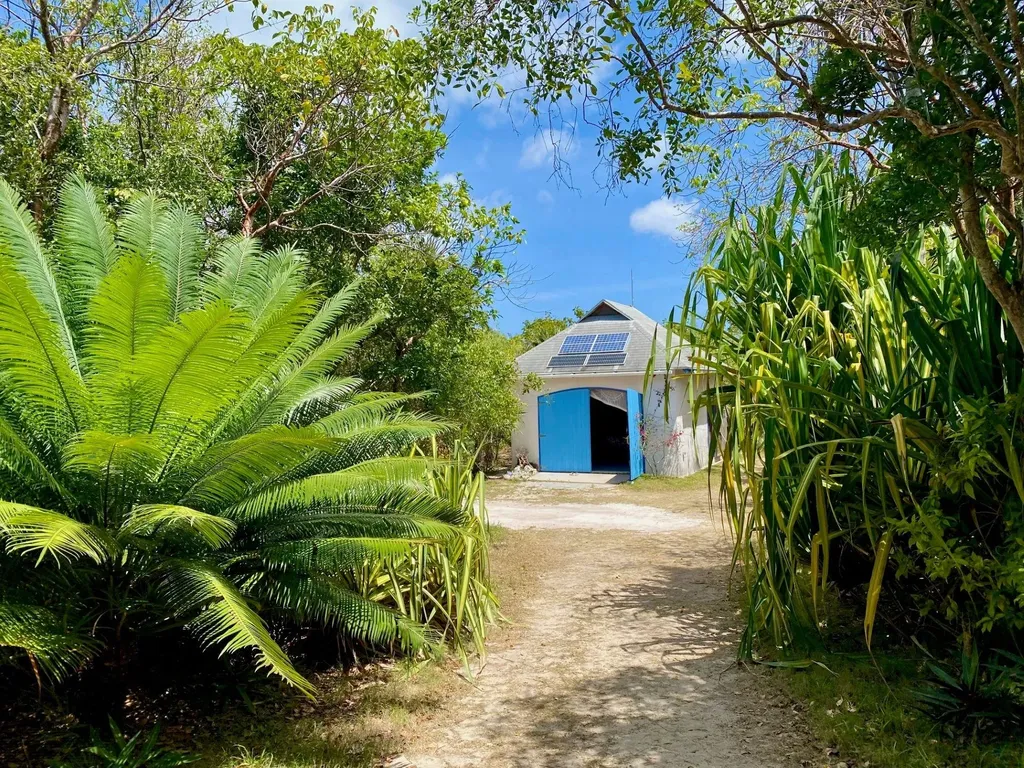 North Palmetto Point Eleuthera BS