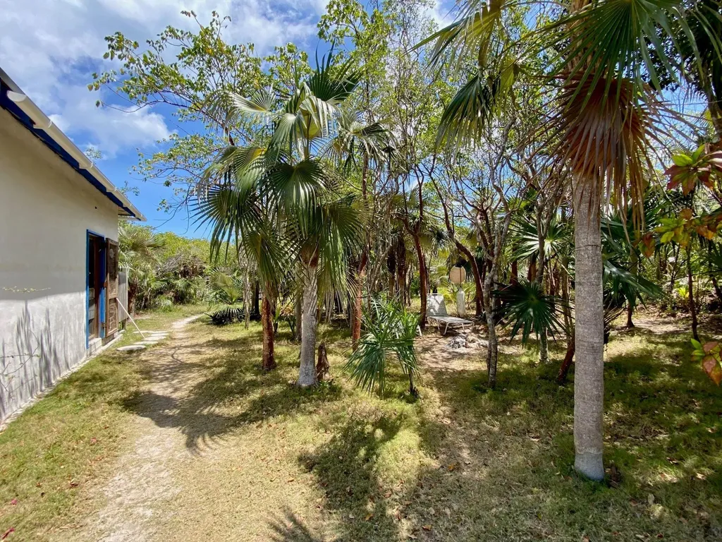 North Palmetto Point Eleuthera BS