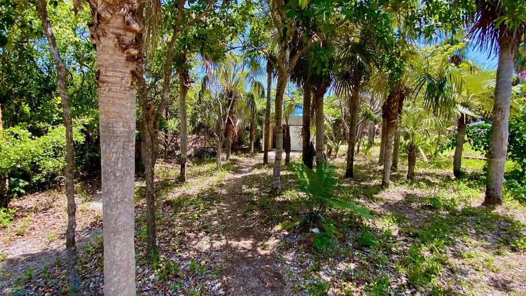 North Palmetto Point Eleuthera BS