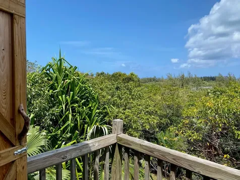 North Palmetto Point Eleuthera BS