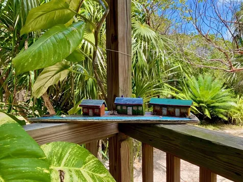 North Palmetto Point Eleuthera BS