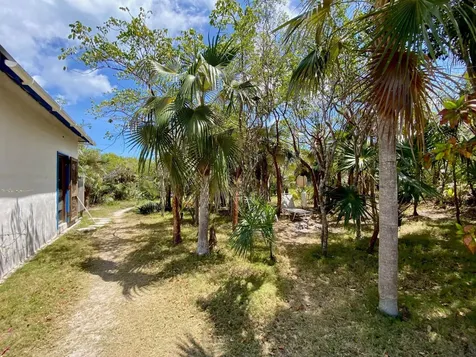 North Palmetto Point Eleuthera BS