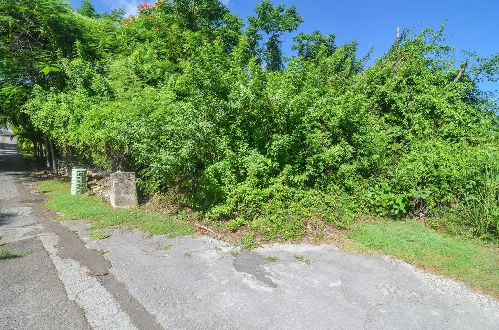 Eastern Road New Providence Paradise Island BS