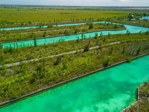 Rochford Road 15 Grand Bahama Freeport BS