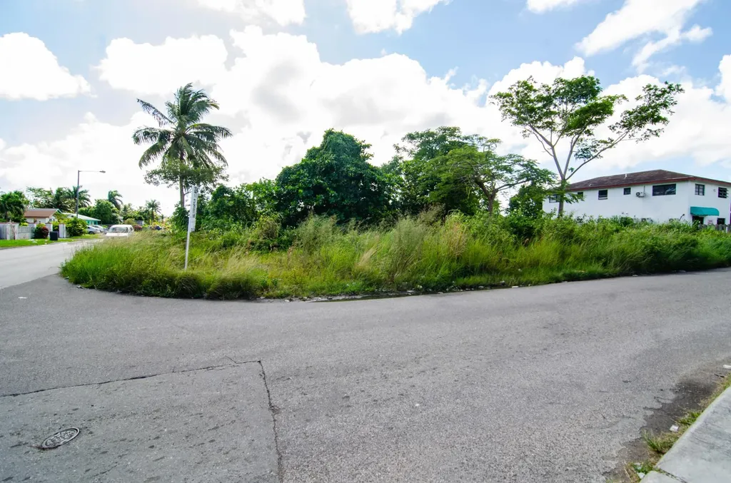 Lot #599 Golden Gates New Providence Paradise Island BS