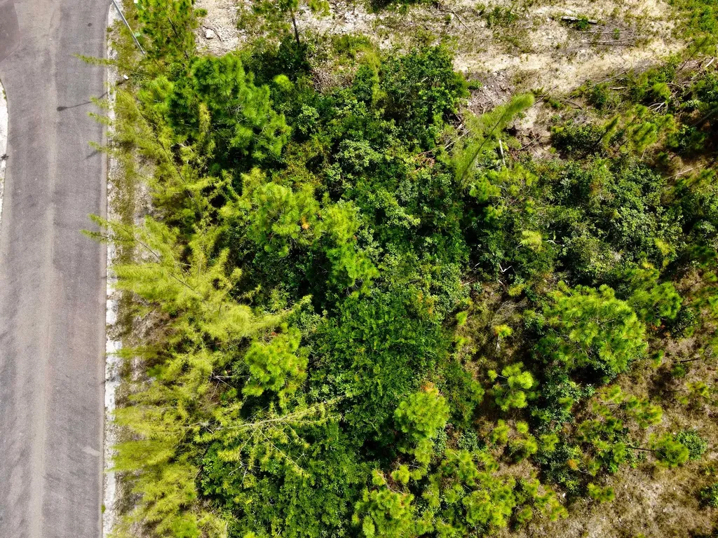 Seahorse Drive Block 1 New Providence Paradise Island BS