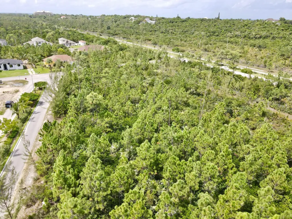 Seahorse Drive Block 1 New Providence Paradise Island BS