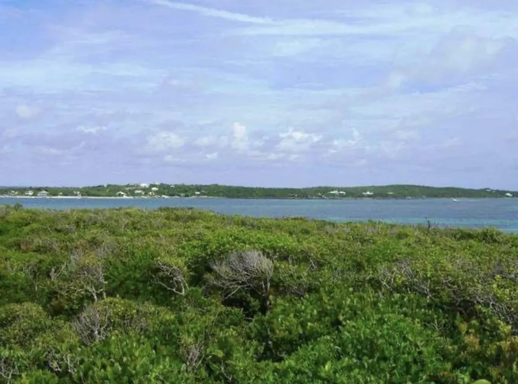 Tilloo Cay Sea To Sea Abaco BS