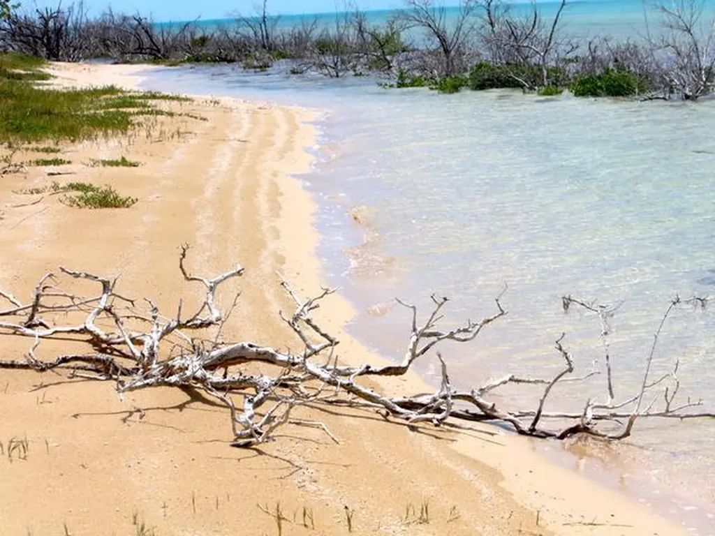 7b - 5 Acre Waterfront Long Island BS