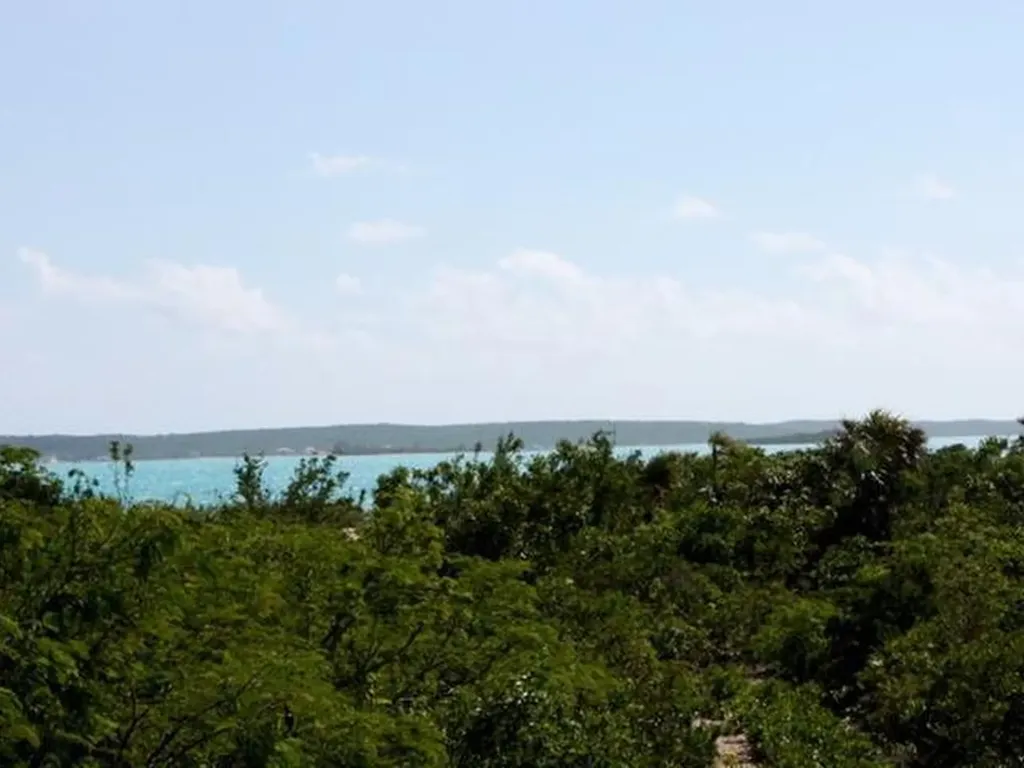 5 Acres - Waterfront Long Island BS