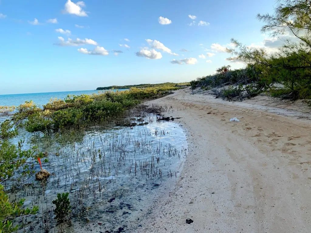 5 Acres - Waterfront Long Island BS