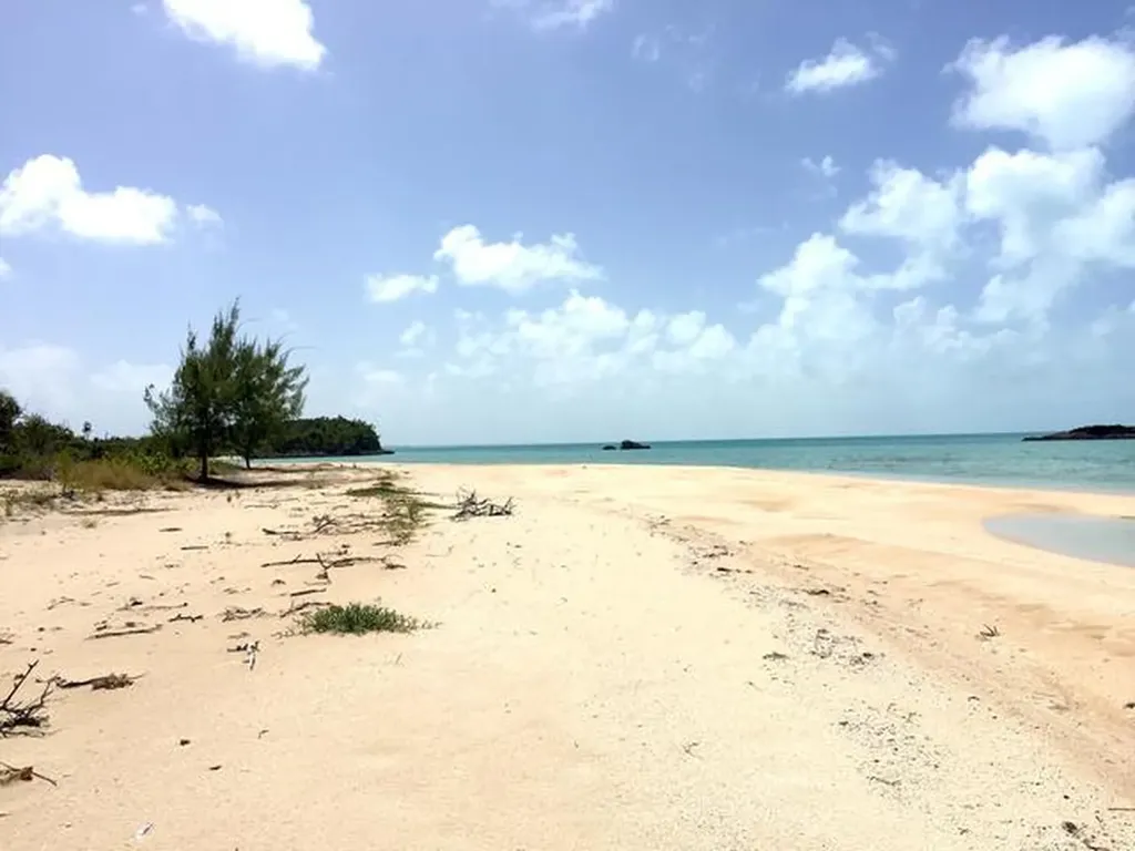 21 Acres Beachfront Long Island BS