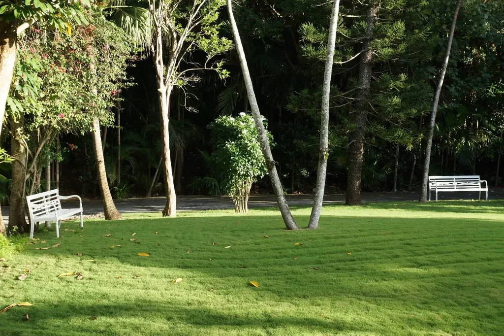 West Lyford Place New Providence Paradise Island BS