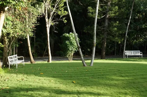 West Lyford Place New Providence Paradise Island BS