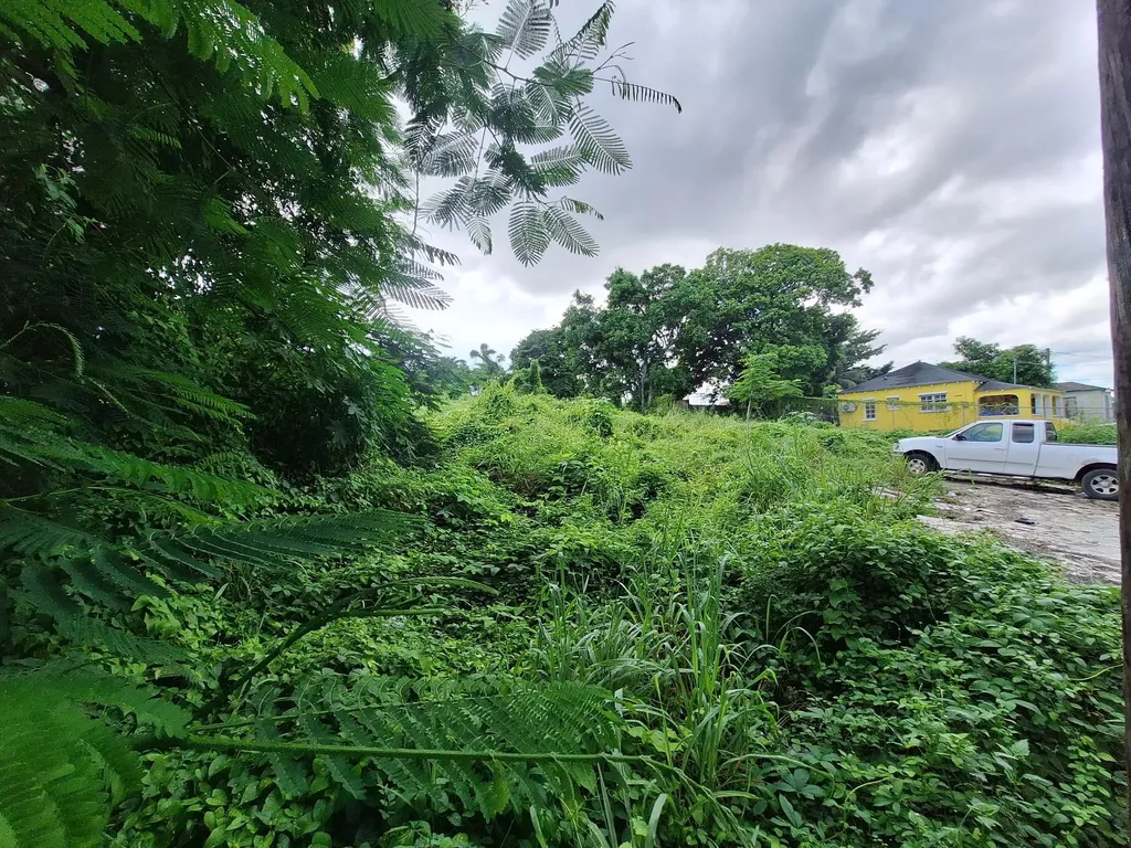 Kemp Road 1/2 Acre Lot New Providence Paradise Island BS
