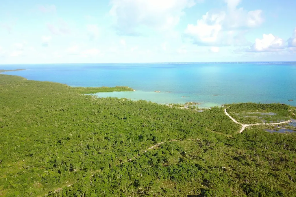 353 Acres North Marsh Har Abaco BS